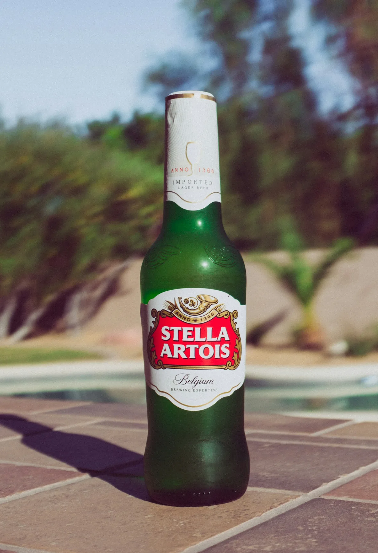 Botella de cerveza Stella Artois